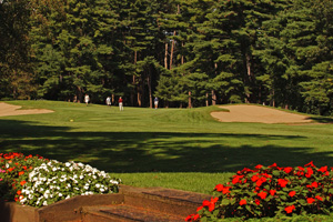 golf course